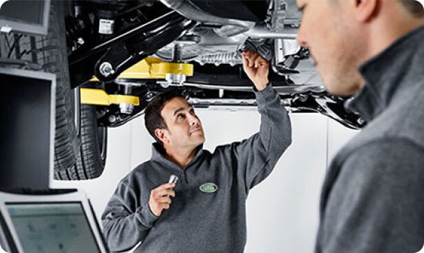 Seasonal Health Check Image